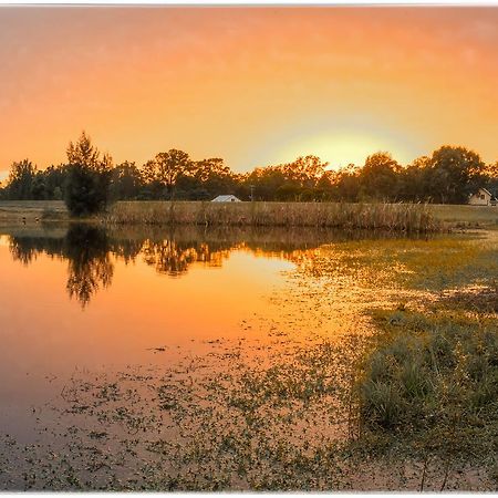 Madigan Wine Country Cottages Lovedale Esterno foto