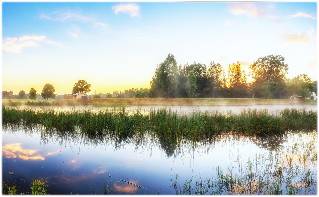 Madigan Wine Country Cottages Lovedale Esterno foto