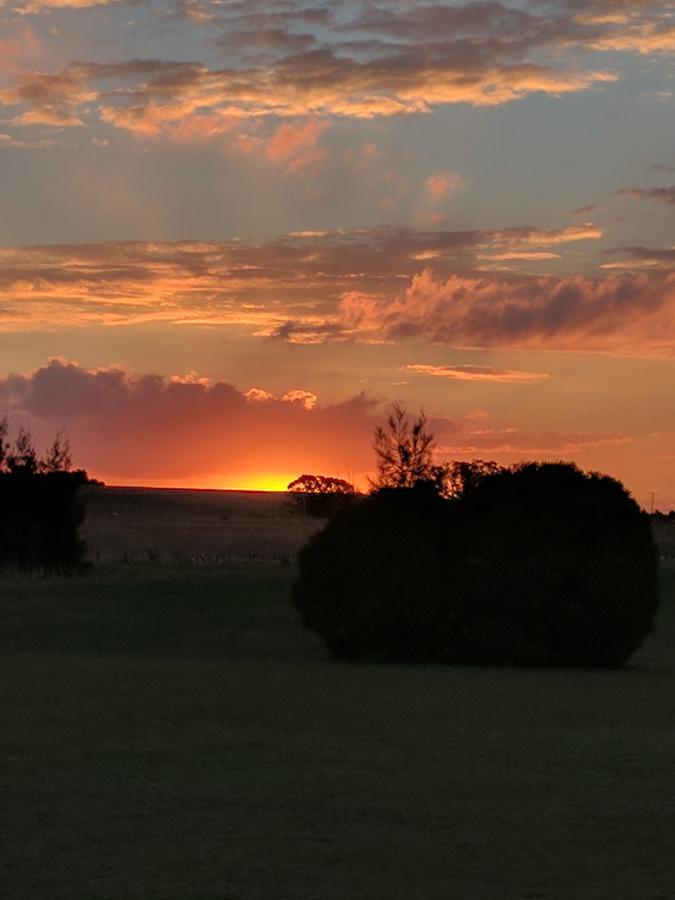 Madigan Wine Country Cottages Lovedale Esterno foto