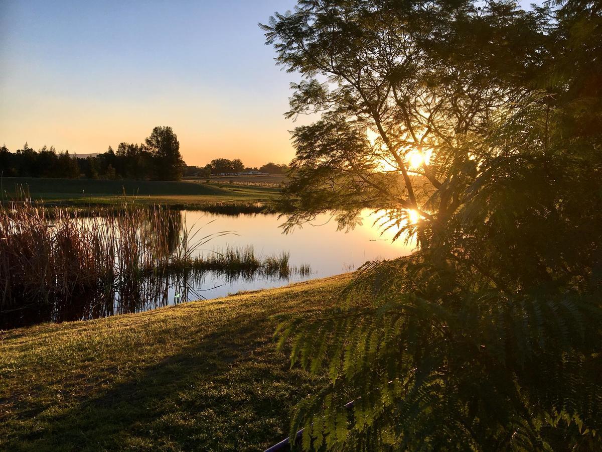 Madigan Wine Country Cottages Lovedale Esterno foto