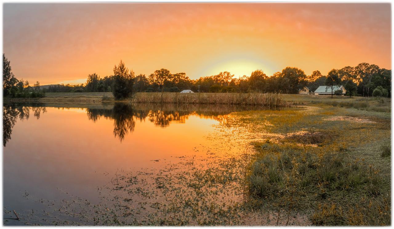 Madigan Wine Country Cottages Lovedale Esterno foto