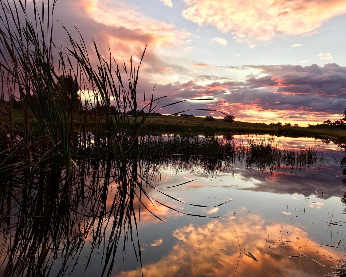 Madigan Wine Country Cottages Lovedale Esterno foto