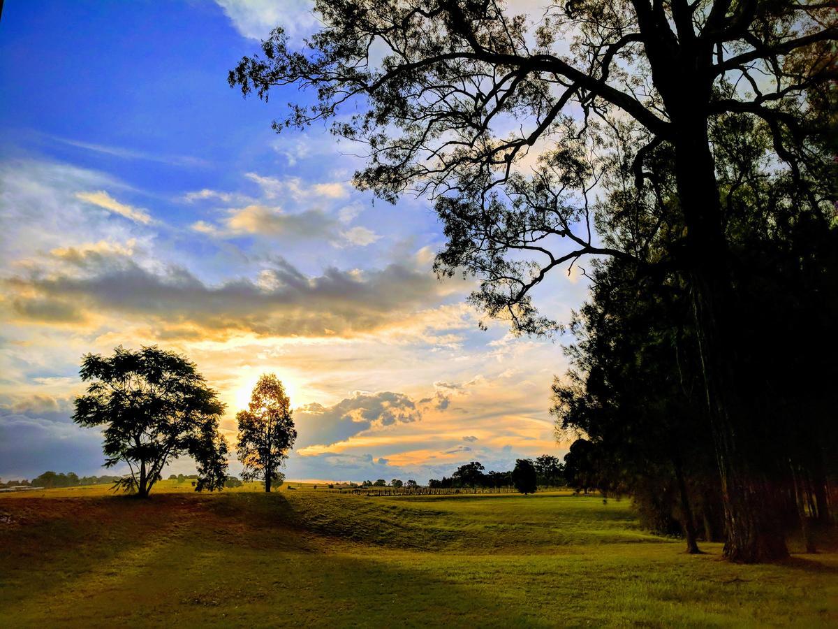 Madigan Wine Country Cottages Lovedale Esterno foto