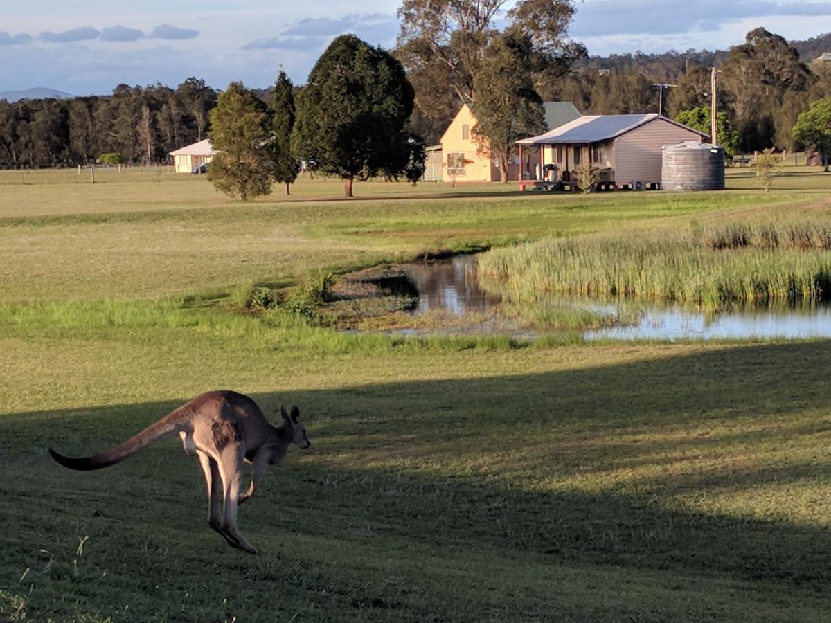 Madigan Wine Country Cottages Lovedale Esterno foto