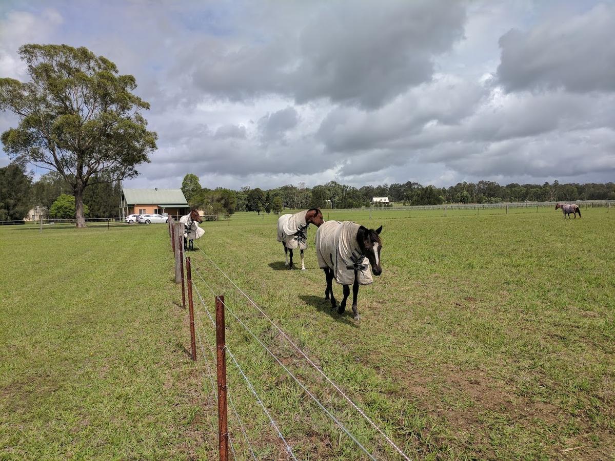 Madigan Wine Country Cottages Lovedale Esterno foto