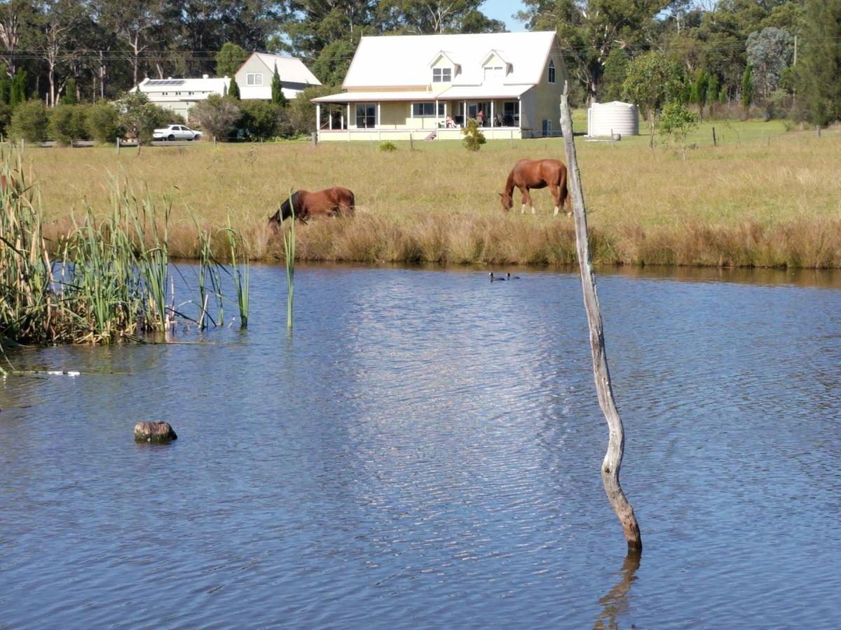 Madigan Wine Country Cottages Lovedale Esterno foto